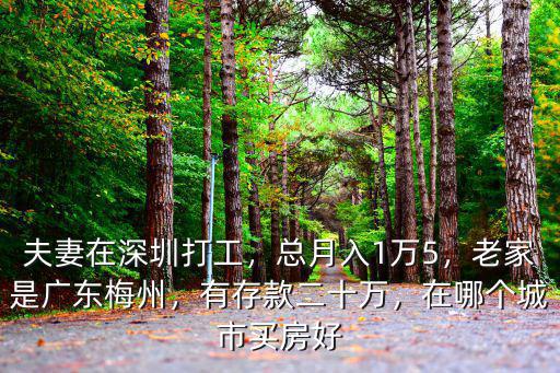 夫妻在深圳打工，總月入1萬5，老家是廣東梅州，有存款二十萬，在哪個(gè)城市買房好