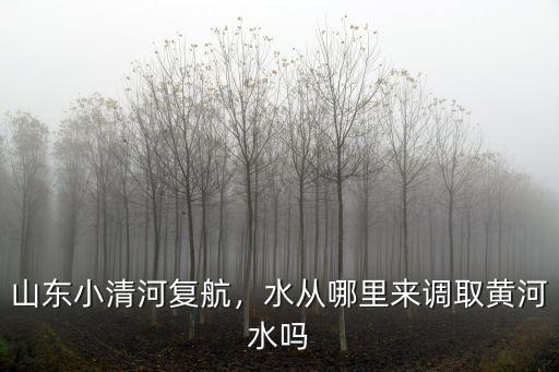 山東小清河通航后水面寬度是多少,山東小清河復航