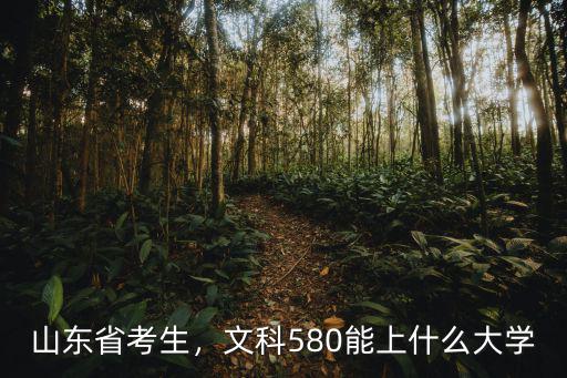 山東省考生，文科580能上什么大學
