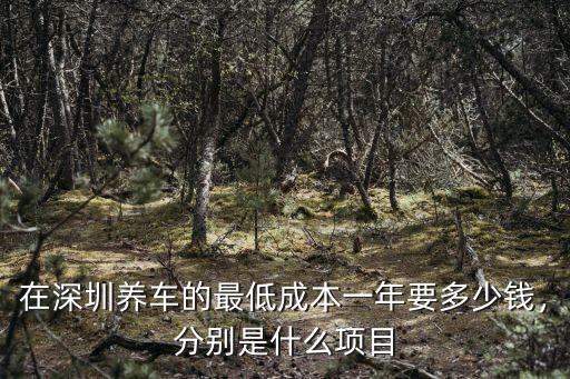 在深圳養(yǎng)車(chē)的最低成本一年要多少錢(qián)，分別是什么項(xiàng)目