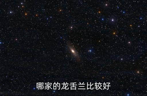 哪家的龍舌蘭比較好
