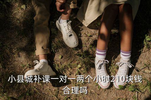 小縣城補課一對一兩個小時210塊錢合理嗎