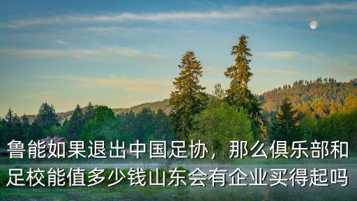 魯能如果退出中國足協(xié)，那么俱樂部和足校能值多少錢山東會有企業(yè)買得起嗎