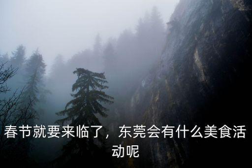 春節就要來臨了，東莞會有什么美食活動呢