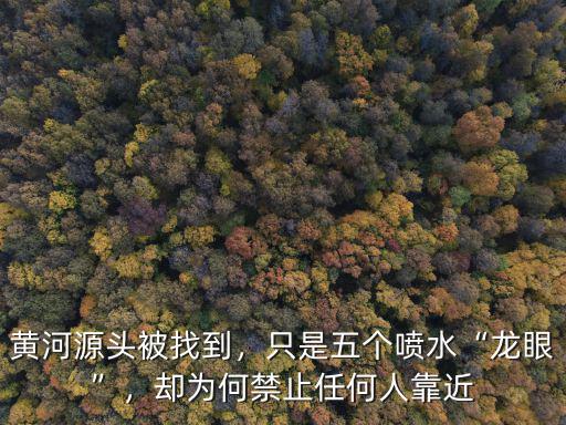 黃河源頭被找到，只是五個噴水“龍眼”，卻為何禁止任何人靠近