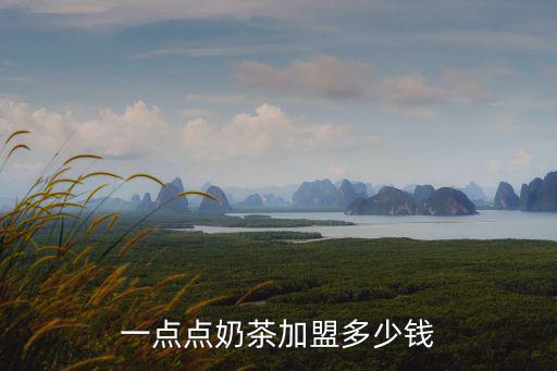 一點(diǎn)點(diǎn)奶茶加盟多少錢