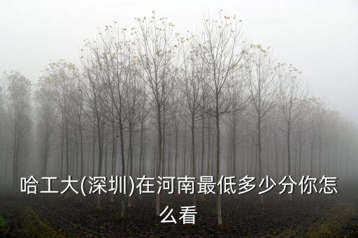 哈工大(深圳)在河南最低多少分你怎么看