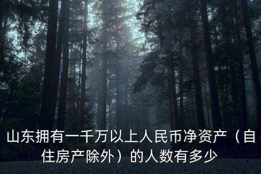 山東擁有一千萬以上人民幣凈資產(chǎn)（自住房產(chǎn)除外）的人數(shù)有多少