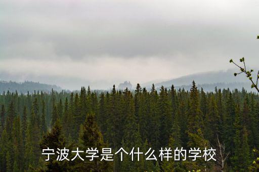 寧波大學(xué)是個(gè)什么樣的學(xué)校