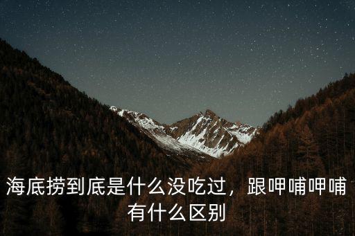 深圳呷哺呷哺有多少家,跟呷哺呷哺有什么區別