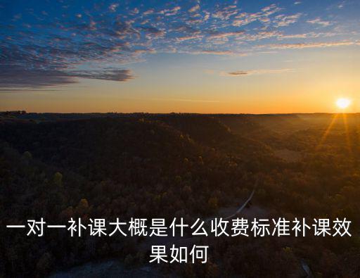 深圳一對一補(bǔ)課費用是多少,初三學(xué)生一對一補(bǔ)課