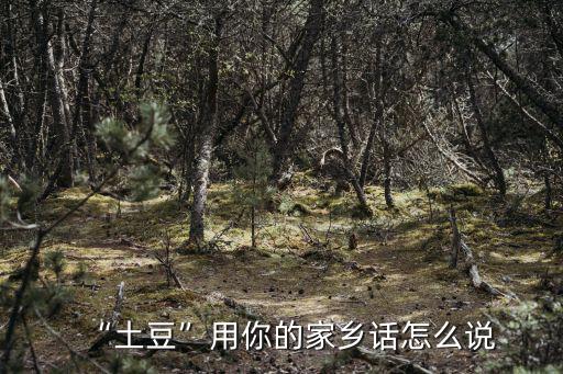 明日之后土豆用廣東話怎么說,土豆用你的家鄉話怎么說