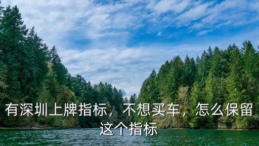 有深圳上牌指標，不想買車，怎么保留這個指標