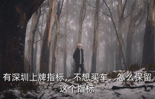 有深圳上牌指標，不想買車，怎么保留這個指標