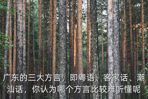 廣東的三大方言，即粵語、客家話、潮汕話，你認為哪個方言比較難聽懂呢