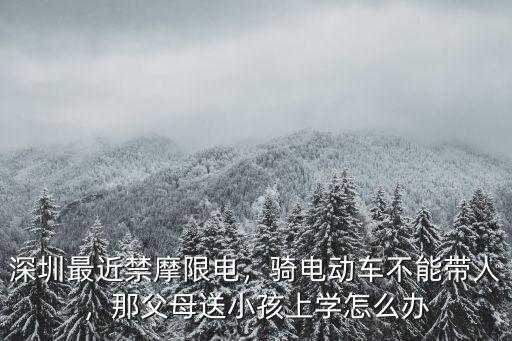 深圳騎電動車怎么備案,深圳最近禁摩限電