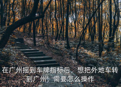 廣州搖中指標(biāo)后怎么去選號(hào),在廣州搖到車牌指標(biāo)后