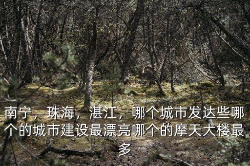 湛江最有錢的地方在哪里,湛江哪里最繁華