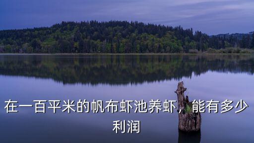 湛江養蝦一年能賺多少,一年能掙多少錢