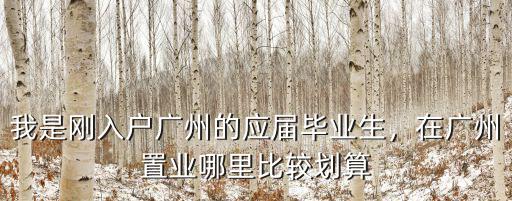 我是剛?cè)霊魪V州的應(yīng)屆畢業(yè)生，在廣州置業(yè)哪里比較劃算
