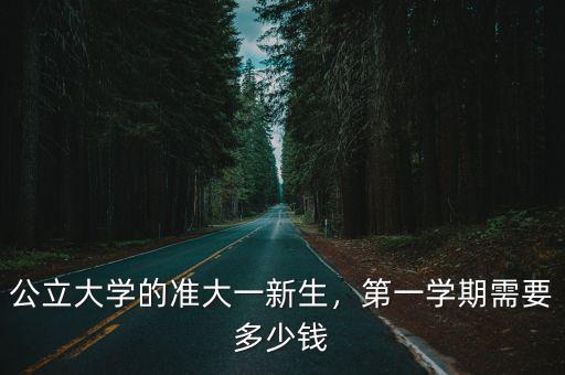 山東大學(xué)大一新生學(xué)費(fèi)多少,第一學(xué)期需要多少錢