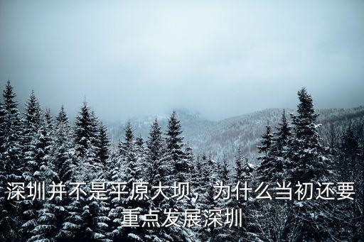 深圳平原是哪里,為什么當(dāng)初還要重點發(fā)展深圳