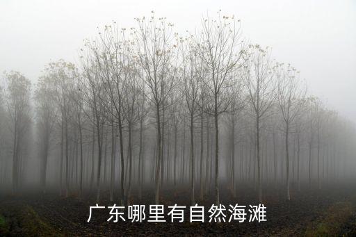 廣東有多少個(gè)孤島城市,廣東有多少個(gè)市