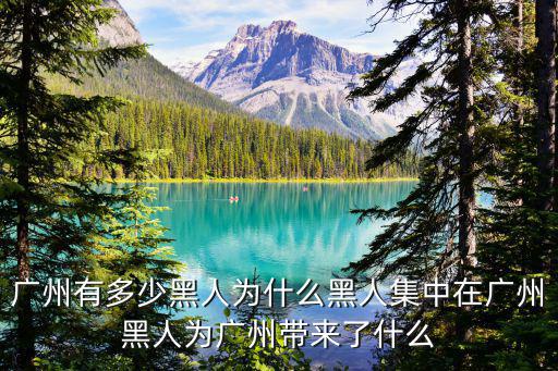 廣州有多少黑人為什么黑人集中在廣州黑人為廣州帶來了什么