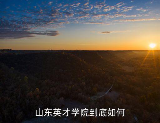 山東英才學院最低多少分能錄用,山東英才學院到底如何