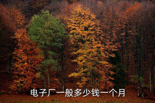 電子廠一般多少錢一個(gè)月
