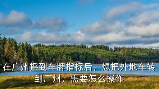 廣州指標(biāo)搖號怎么操作,在廣州搖到車牌指標(biāo)后