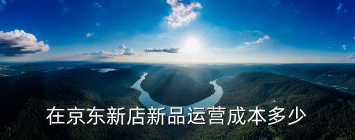 京東營運點投資多少錢,在京東新店新品運營成本多少