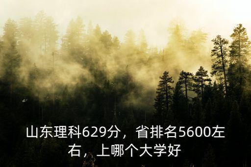 山東理科629分，省排名5600左右，上哪個大學好
