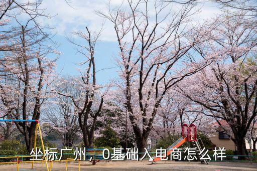 廣州新手怎么學做電商,想做電商創業