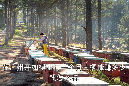 在廣州開如祺出行一個月大概能賺多少錢怎么樣