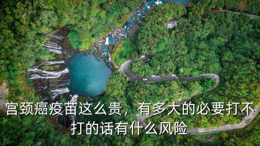 宮頸癌疫苗這么貴，有多大的必要打不打的話有什么風(fēng)險