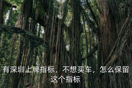 有深圳上牌指標(biāo)，不想買車，怎么保留這個(gè)指標(biāo)