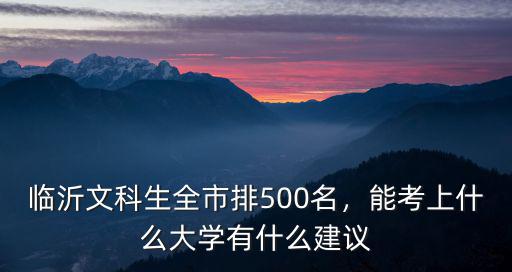 臨沂文科生全市排500名，能考上什么大學(xué)有什么建議