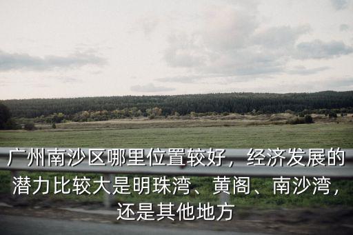 廣州南沙區哪里有賣小雞的地方,廣州南沙區哪里位置較好