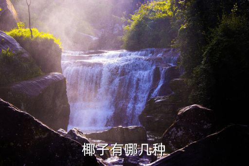 江門哪里有種椰子,椰子有哪幾種