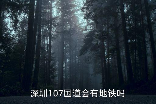 深圳107國道會有地鐵嗎