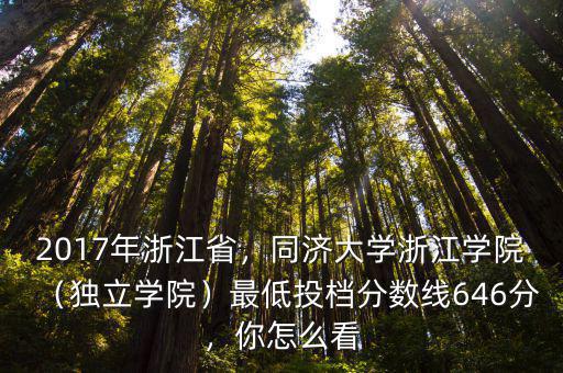 2017年浙江省，同濟大學浙江學院（獨立學院）最低投檔分數線646分，你怎么看