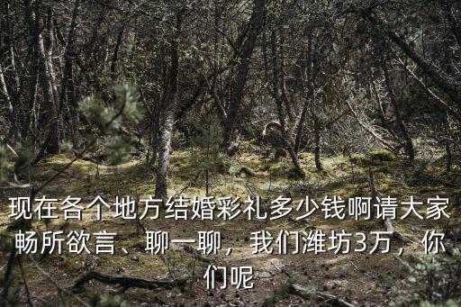 現在各個地方結婚彩禮多少錢啊請大家暢所欲言、聊一聊，我們濰坊3萬，你們呢