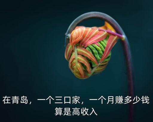 在青島，一個三口家，一個月賺多少錢算是高收入