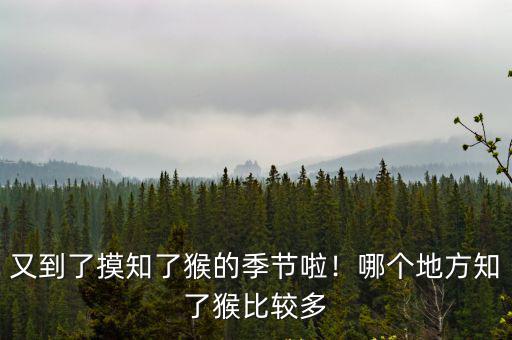 又到了摸知了猴的季節啦！哪個地方知了猴比較多