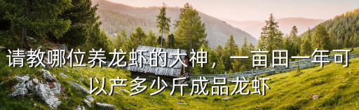 山東一畝龍蝦可產(chǎn)多少錢,正常一畝田能產(chǎn)多少斤龍蝦
