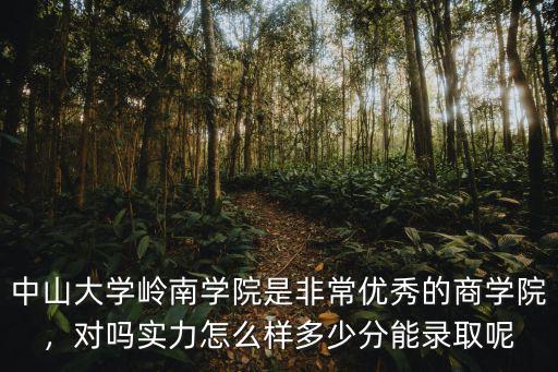 中山大學嶺南學院是非常優秀的商學院，對嗎實力怎么樣多少分能錄取呢