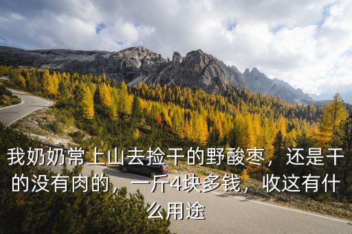 山東野酸棗多少錢一斤,一斤4塊多錢