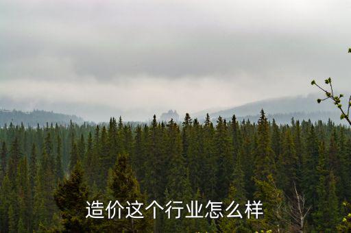 廣東造價業務怎么樣,造價這個行業怎么樣