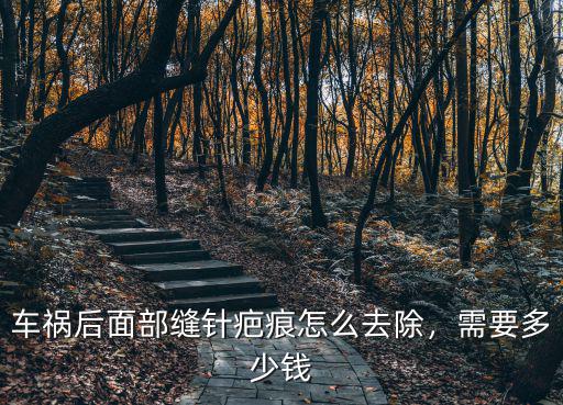 車禍后面部縫針疤痕怎么去除，需要多少錢